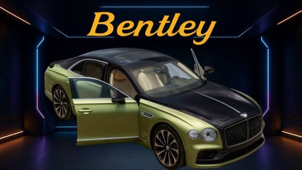 Bentley Flying Spur Mulliner | Damson over Silver Storm | Dacia Skin