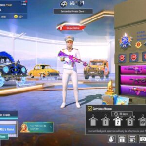 Level 86 PUBG Account | UMP Anniversary Max, M416 Fool Lvl 6, 29 Gunlabs, White Mummy & Rare Mythics