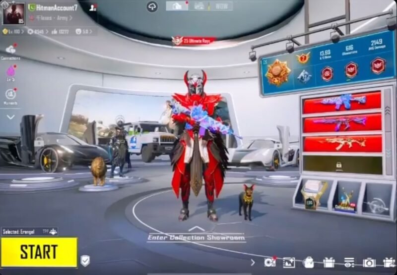 209/250 Mythics | 2x Sports Cars | 52x Gun Labs | M416 Sealed Nether | M416 Shinobi Kami | Blood Rev X-Suit | Pharaoh X-Suit